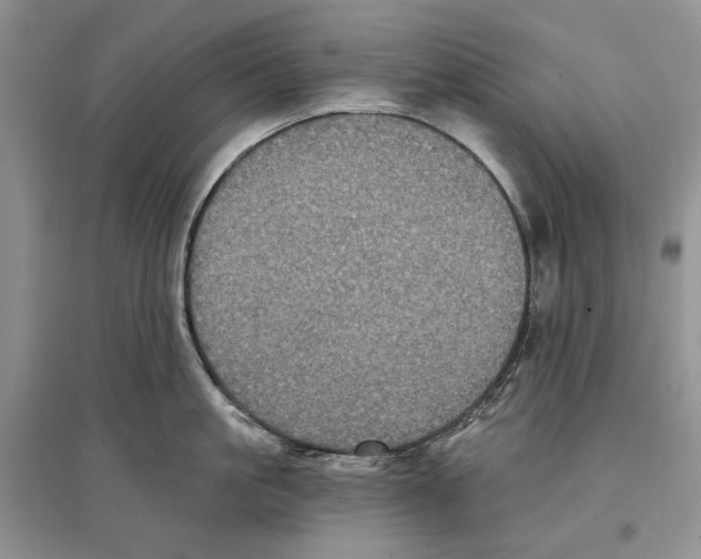 X0000097290861200803141509