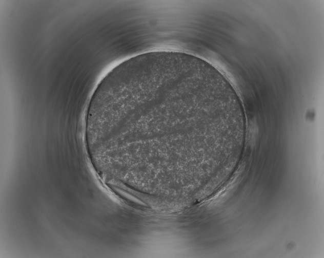 X0000097290862200803141509