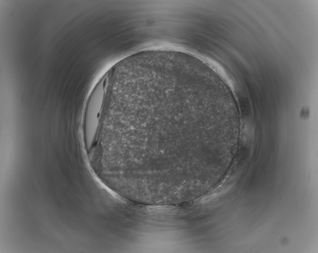 X0000097290863200803141509