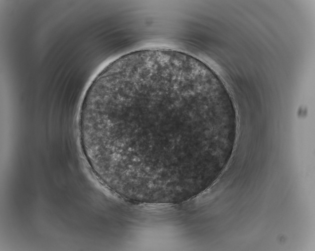 X0000097290864200803141509