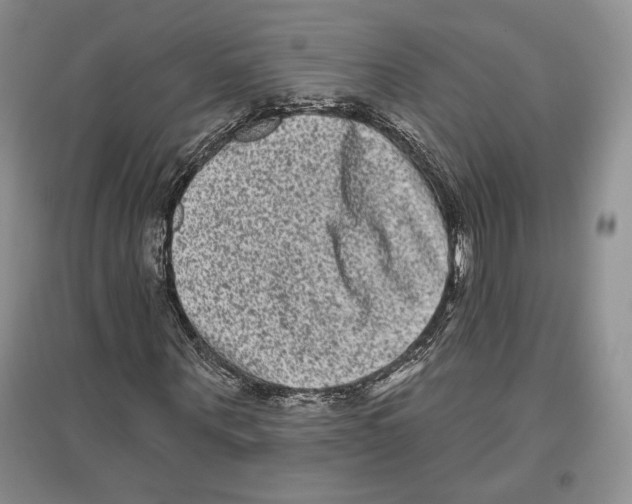 X0000097290867200803141508