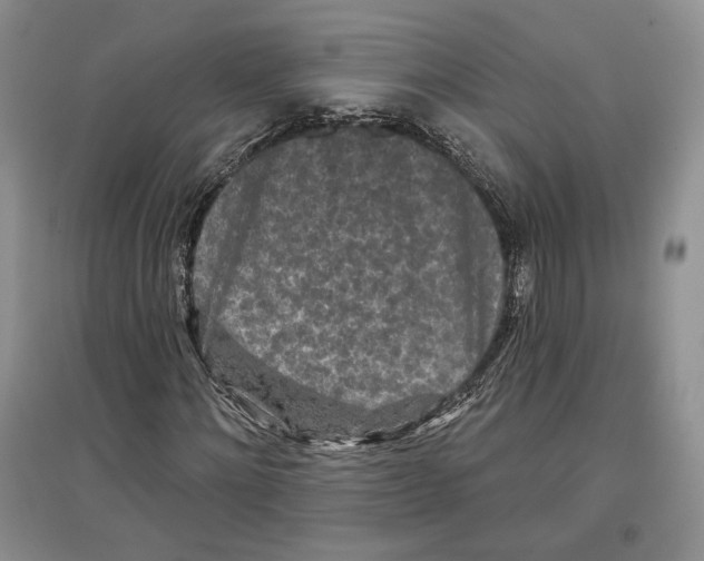 X0000097290868200803141508