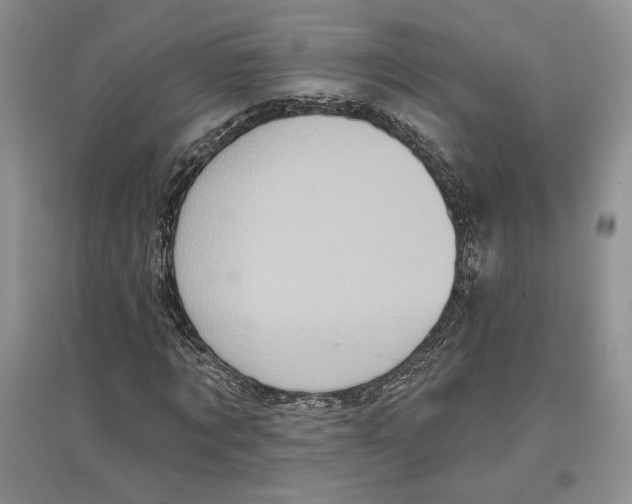 X0000097290869200803141508