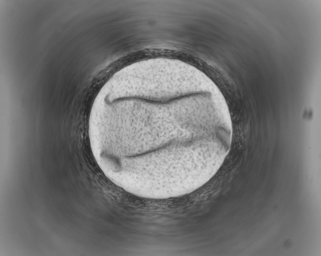 X0000097290870200803141508