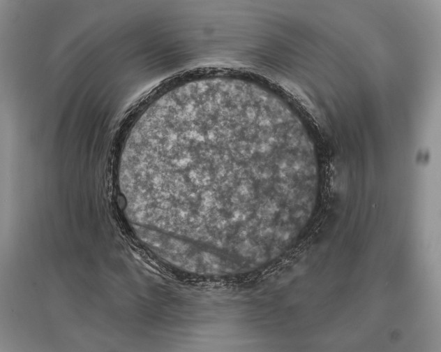 X0000097290872200803141508