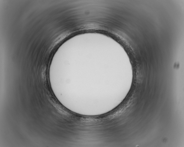 X0000097290873200803141508