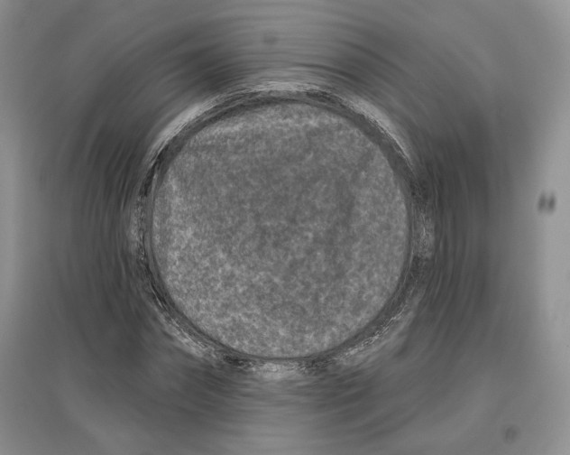 X0000097290874200803141508