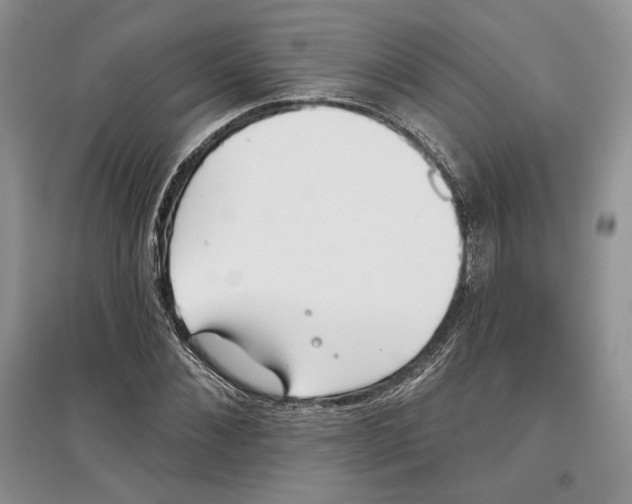 X0000097290876200803141508