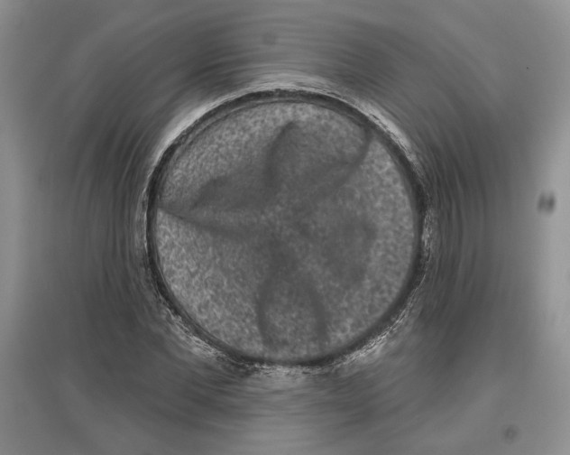 X0000097290877200803141508