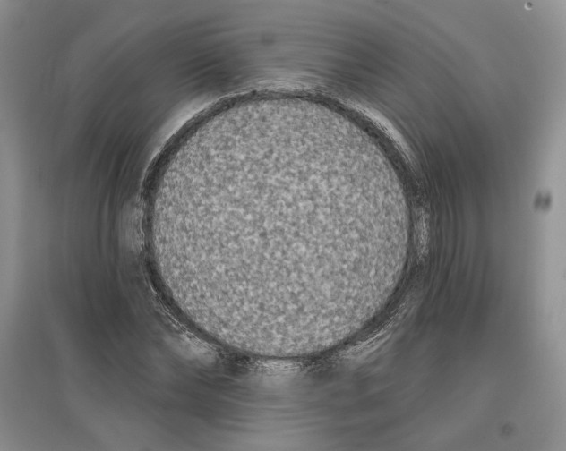 X0000097290878200803141508