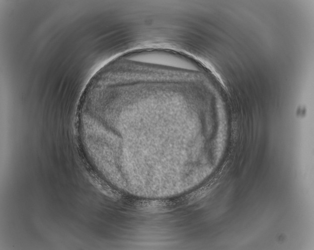 X0000097290879200803141508