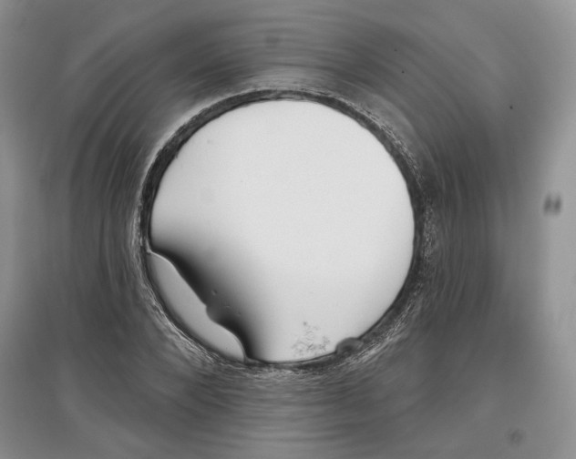 X0000097290880200803141508