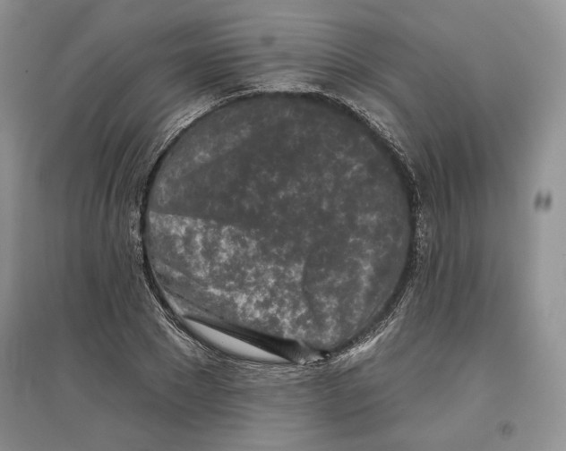 X0000097290881200803141508