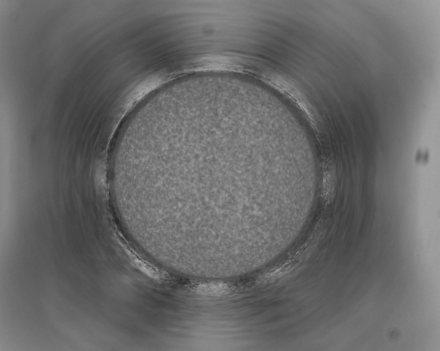 X0000097290882200803141508