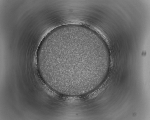 X0000097290883200803141508