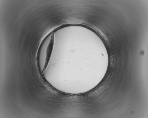 X0000097290885200803141508