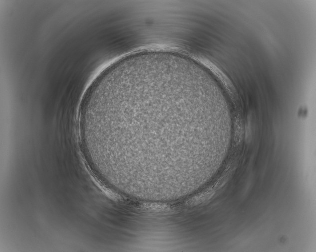 X0000097290886200803141508