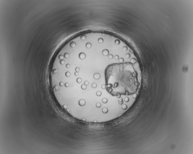 X0000097290887200803141508