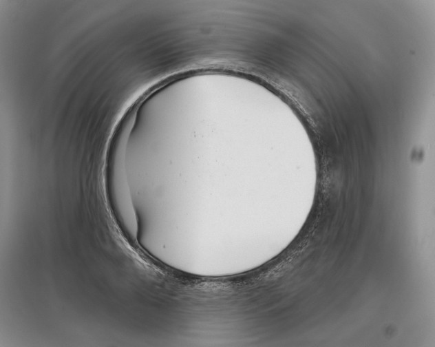 X0000097290888200803141508