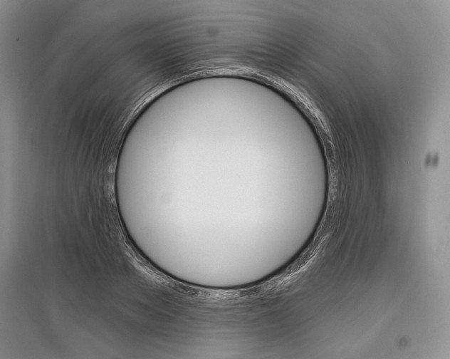 X0000097290889200803141508