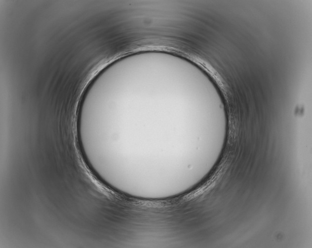 X0000097290890200803141508