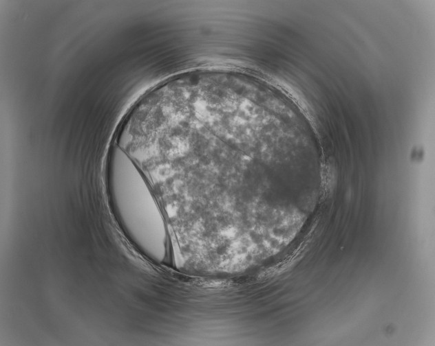 X0000097290891200803141508