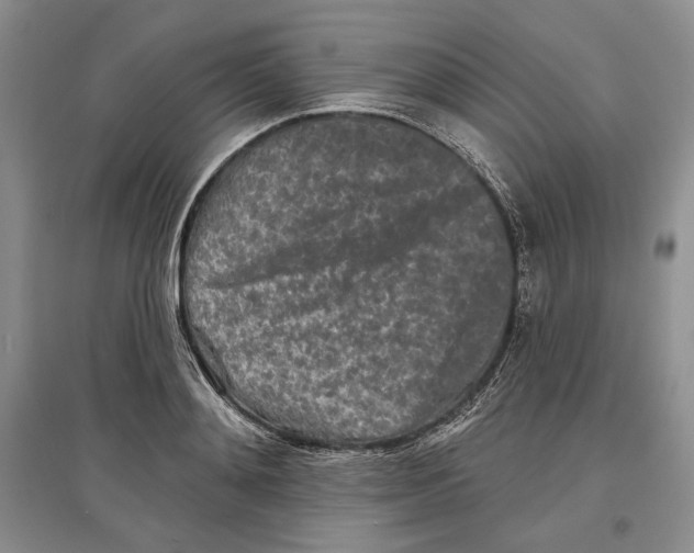 X0000097290892200803141508