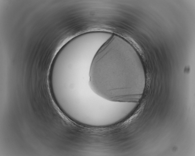 X0000097290893200803141508