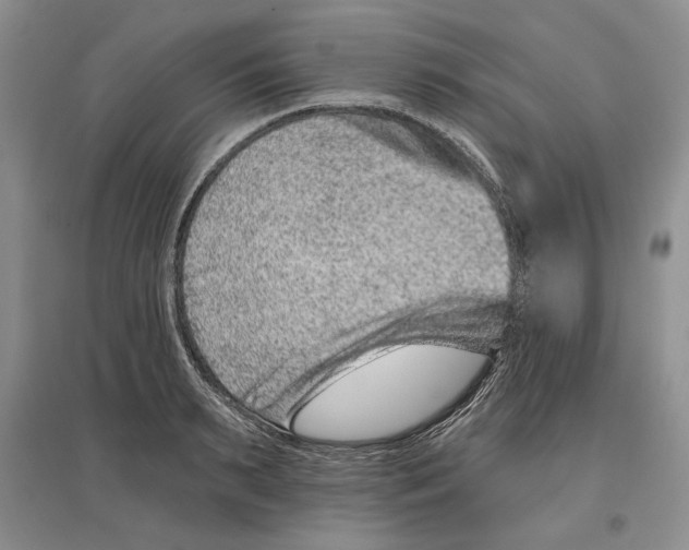 X0000097290895200803141508