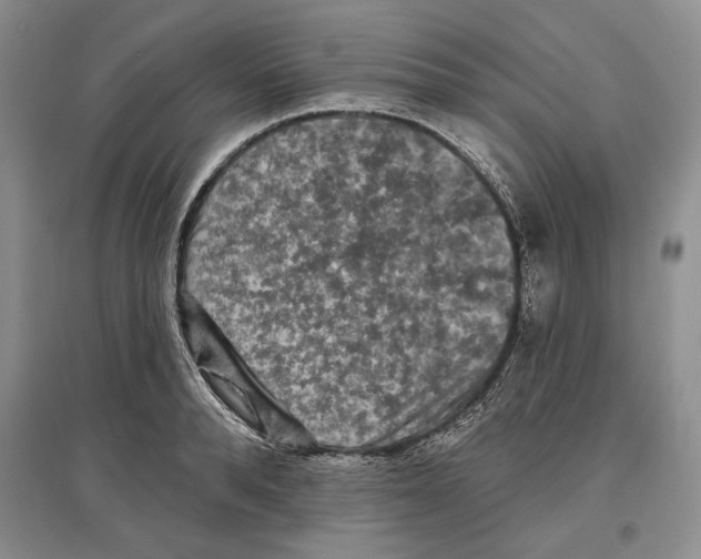 X0000097290896200803141508