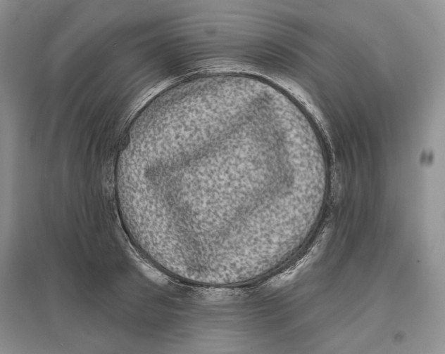 X0000097290897200803141508