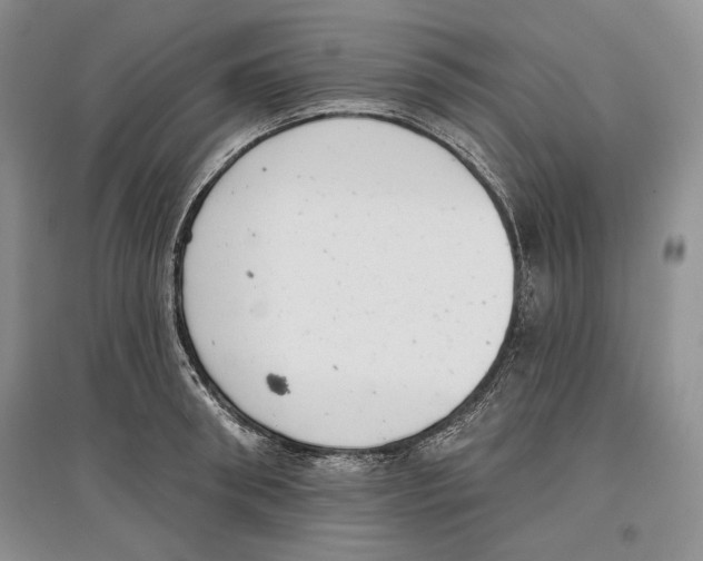 X0000097290898200803141508