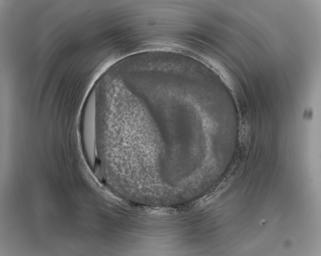 X0000097290899200803141508