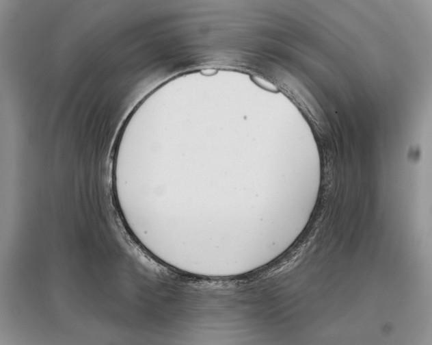 X0000097290900200803141508