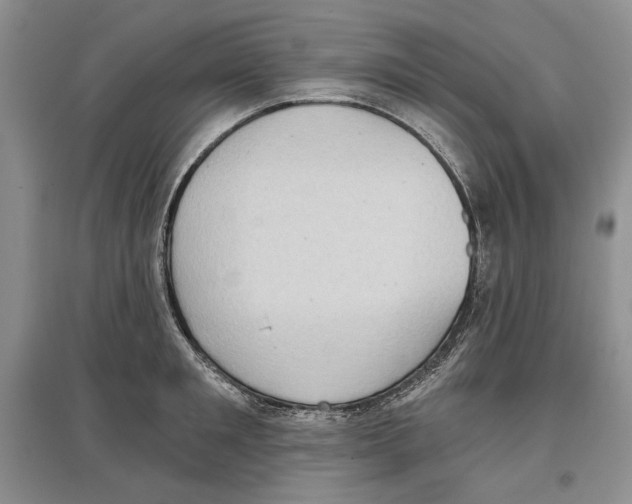 X0000097290901200803141508