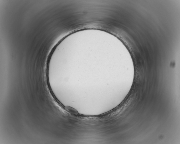 X0000097290902200803141508