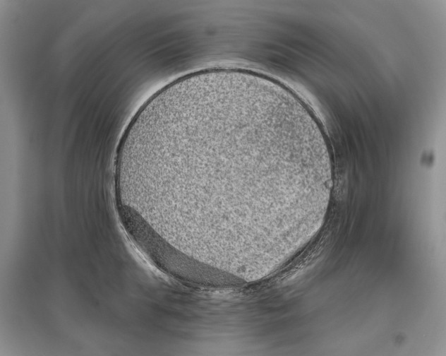 X0000097290903200803141508