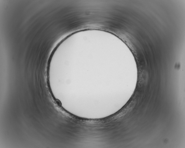 X0000097290904200803141508