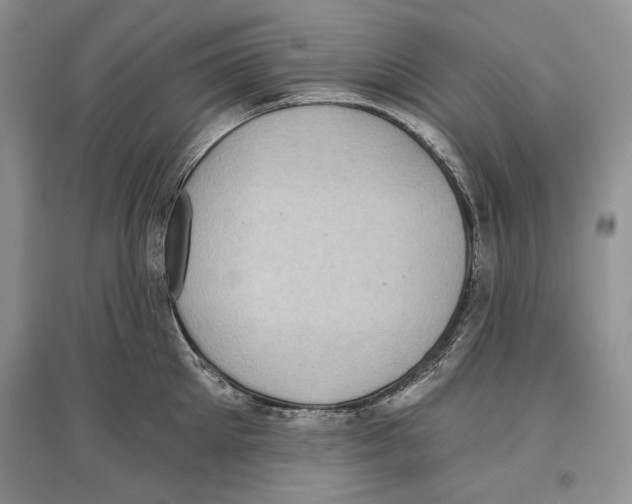 X0000097290905200803141508