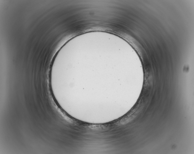 X0000097290906200803141508