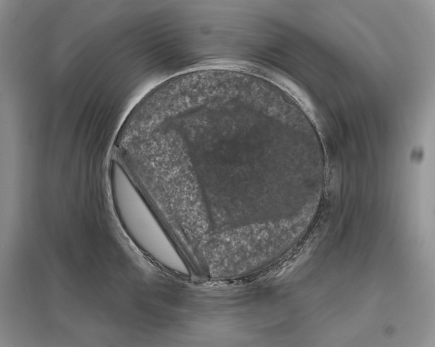 X0000097290907200803141508