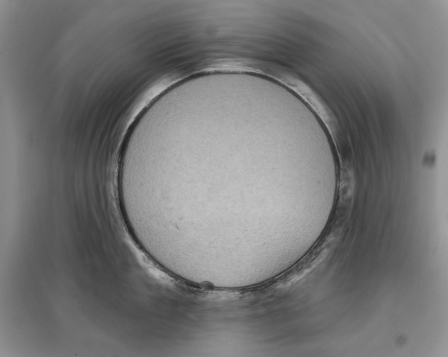 X0000097290909200803141508