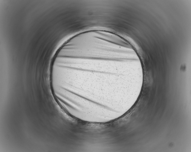 X0000097290910200803141508