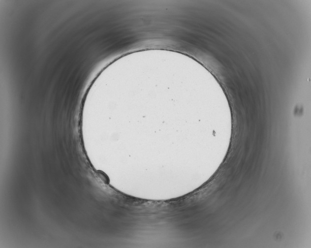 X0000097290912200803141508