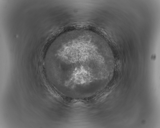 X0000097290913200803141507