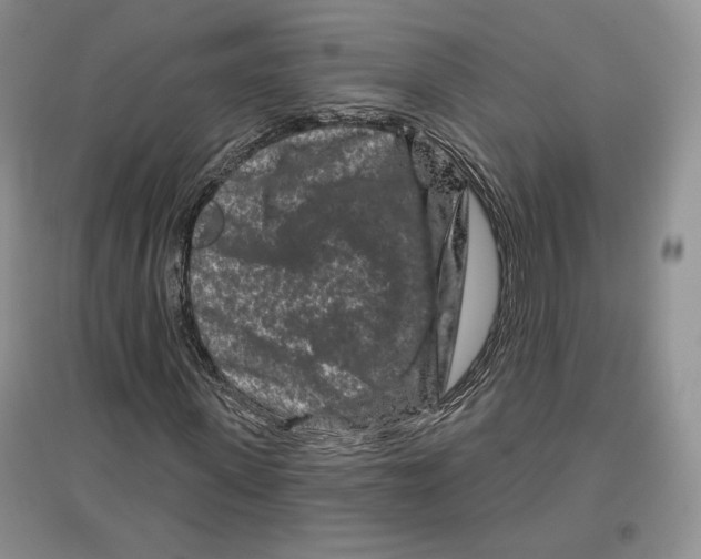 X0000097290915200803141507