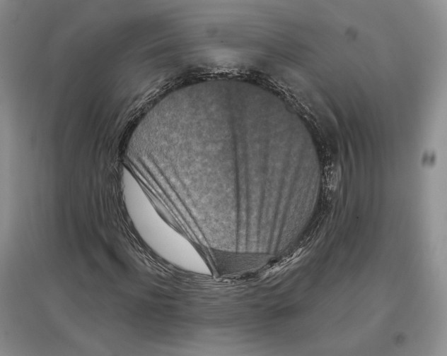 X0000097290916200803141507