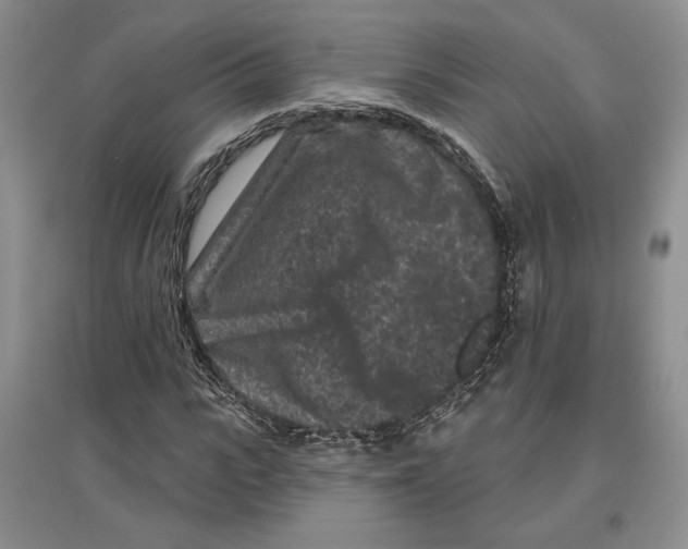 X0000097290919200803141507