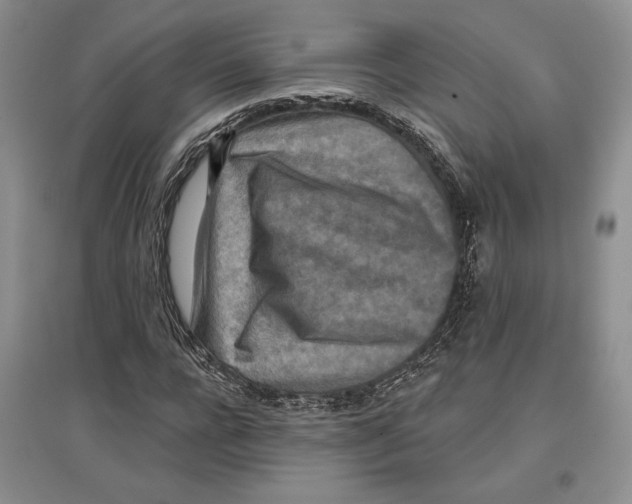 X0000097290920200803141507