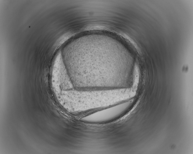 X0000097290921200803141507